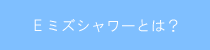 E~YV[Ƃ́H