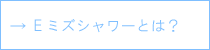 E~YV[Ƃ́H