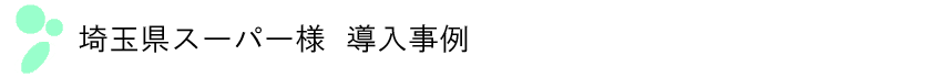 ʌX[p[l@
