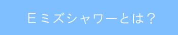 E~YV[Ƃ́H